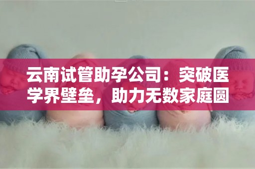 云南试管助孕公司:突破医学界壁垒,助力无数家庭圆梦 云南试管助孕公司:突破医学界壁垒,助力无数家庭圆梦