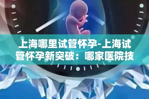 上海哪里试管怀孕-上海试管怀孕新突破：哪家医院技术领先？