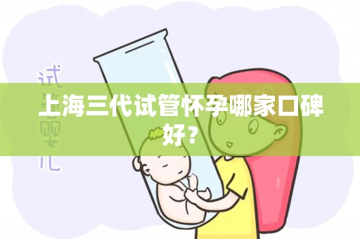 上海三代试管怀孕哪家口碑好？