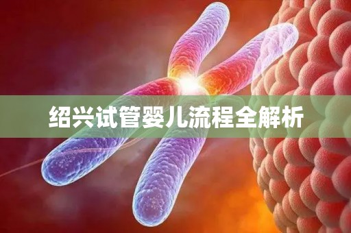 绍兴试管婴儿流程全解析