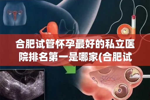 合肥试管怀孕最好的私立医院排名第一是哪家(合肥试管怀孕首选：这家私立医院排名第一)
