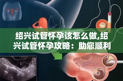 绍兴试管怀孕该怎么做,绍兴试管怀孕攻略：助您顺利好孕