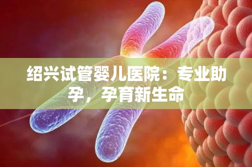 绍兴试管婴儿医院:专业助孕,孕育新生命 绍兴试管婴儿医院:专业助孕,孕育新生命