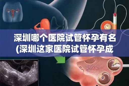 深圳哪个医院试管怀孕有名(深圳这家医院试管怀孕成功率高达90%)