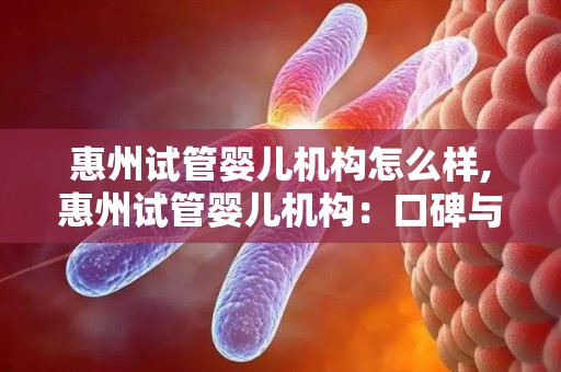 惠州试管婴儿机构怎么样,惠州试管婴儿机构：口碑与服务双优
