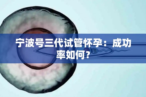 宁波号三代试管怀孕：成功率如何？