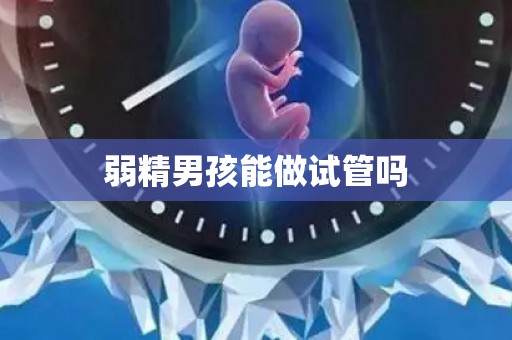 弱精孩子能做试管吗