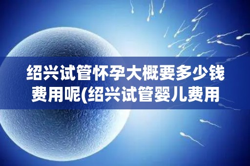 绍兴试管怀孕大概要多少钱费用呢(绍兴试管婴儿费用一览：价格几何？)