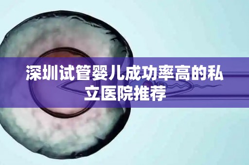 深圳试管婴儿成功率高的私立医院推荐