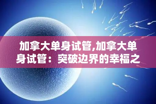 加拿大单身试管,加拿大单身试管：突破边界的幸福之门