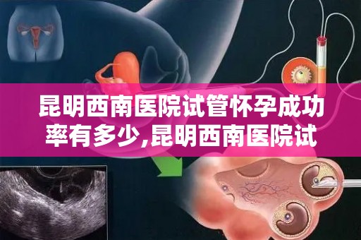昆明西南医院试管怀孕成功率有多少,昆明西南医院试管婴儿成功率揭秘：突破行业新高度