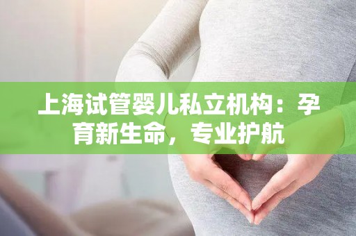 上海试管婴儿私立机构：孕育新生命，专业护航