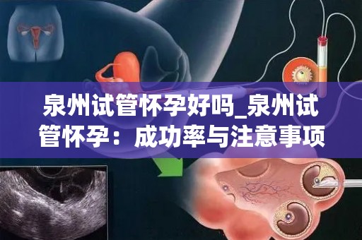 泉州试管怀孕好吗_泉州试管怀孕:成功率与注意事项揭秘 泉州试管怀孕好吗_泉州试管怀孕:成功率与注意事项揭秘