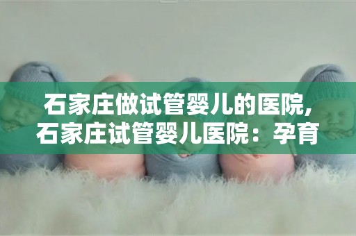 石家庄做试管婴儿的医院,石家庄试管婴儿医院：孕育新生命，专业护航