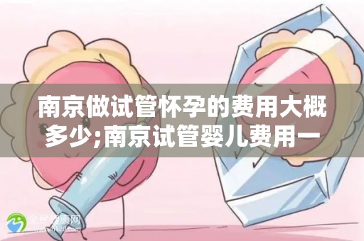 南京做试管怀孕的费用大概多少;南京试管婴儿费用一览：价格几何？
