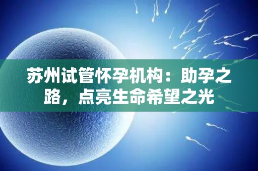 苏州试管怀孕机构：助孕之路，点亮生命希望之光