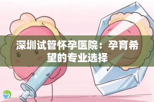 深圳试管怀孕医院：孕育希望的专业选择