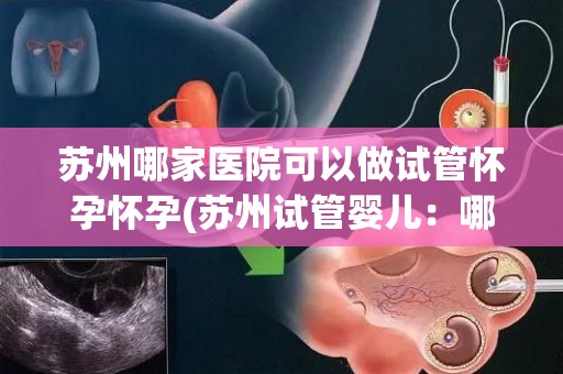 苏州哪家医院可以做试管怀孕怀孕(苏州试管婴儿:哪家医院技术领先?) 苏州哪家医院可以做试管怀孕怀孕(苏州试管婴儿:哪家医院技术领先?)