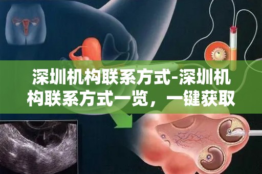 深圳机构联系方式-深圳机构联系方式一览，一键获取