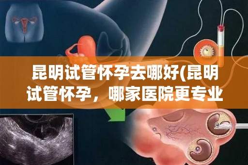 昆明试管怀孕去哪好(昆明试管怀孕，哪家医院更专业？)