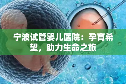 宁波试管婴儿医院:孕育希望,助力生命之旅 宁波试管婴儿医院:孕育希望,助力生命之旅