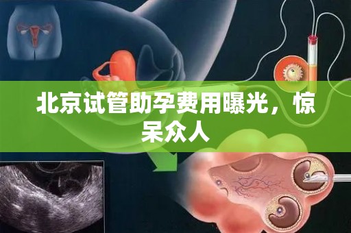 北京试管助孕费用曝光,惊呆众人 北京试管助孕费用曝光,惊呆众人