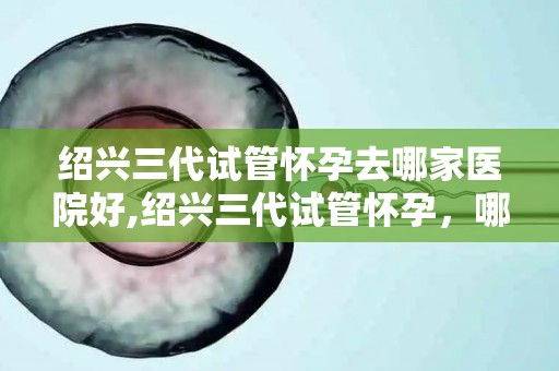 绍兴三代试管怀孕去哪家医院好,绍兴三代试管怀孕，哪家医院更专业？