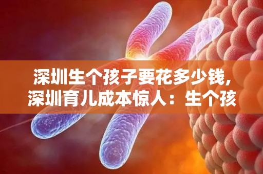 深圳生个孩子要花多少钱,深圳育儿成本惊人:生个孩子要花多少钱? 深圳生个孩子要花多少钱,深圳育儿成本惊人:生个孩子要花多少钱?