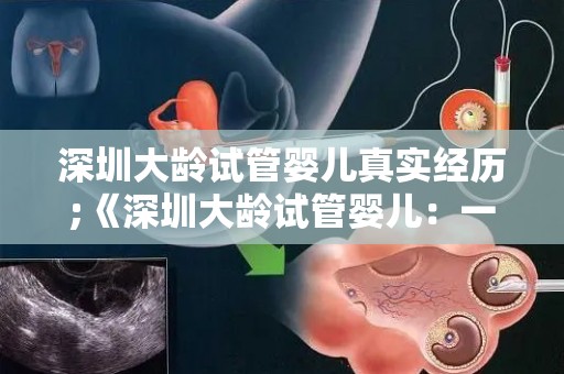 深圳大龄试管婴儿真实经历;《深圳大龄试管婴儿：一场生命的坚守之旅》