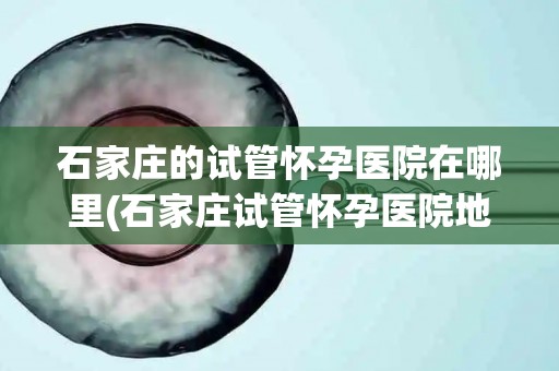 石家庄的试管怀孕医院在哪里(石家庄试管怀孕医院地址揭晓) 石家庄的试管怀孕医院在哪里(石家庄试管怀孕医院地址揭晓)
