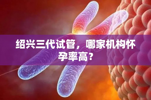 绍兴三代试管,哪家机构怀孕率高? 绍兴三代试管,哪家机构怀孕率高?