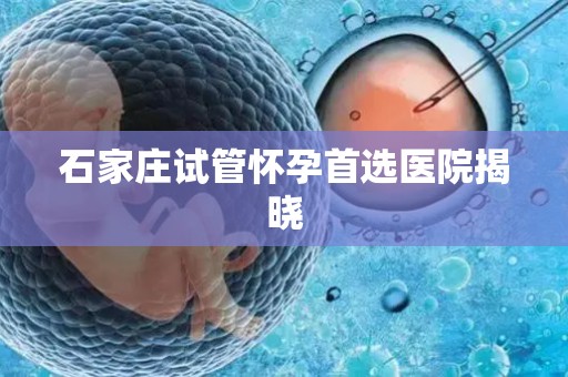 石家庄试管怀孕首选医院揭晓