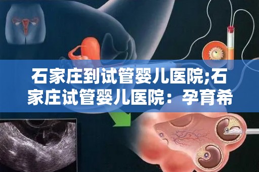 石家庄到试管婴儿医院;石家庄试管婴儿医院:孕育希望的新起点 石家庄到试管婴儿医院;石家庄试管婴儿医院:孕育希望的新起点