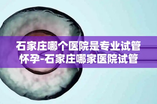 石家庄哪个医院是专业试管怀孕-石家庄哪家医院试管怀孕技术领先？