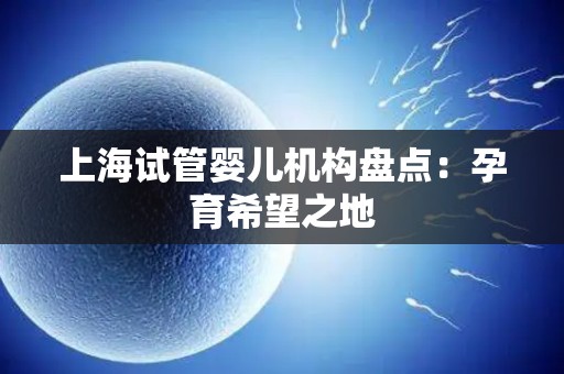 上海试管婴儿机构盘点:孕育希望之地 上海试管婴儿机构盘点:孕育希望之地