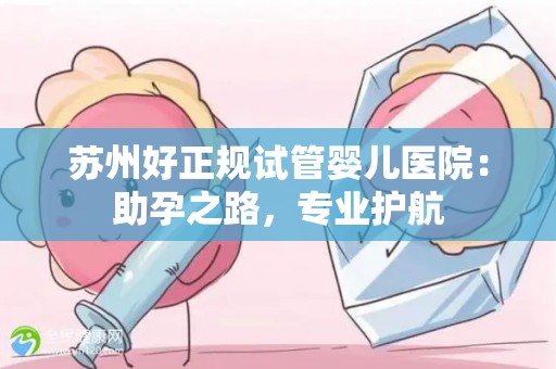 苏州好正规试管婴儿医院：助孕之路，专业护航