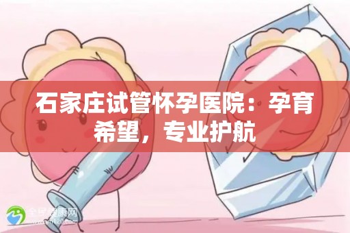 石家庄试管怀孕医院:孕育希望,专业护航 石家庄试管怀孕医院:孕育希望,专业护航