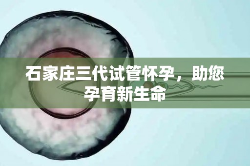 石家庄三代试管怀孕，助您孕育新生命