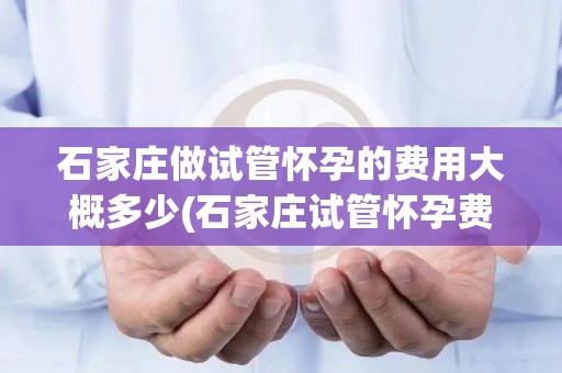 石家庄做试管怀孕的费用大概多少(石家庄试管怀孕费用一览：价格几何？)