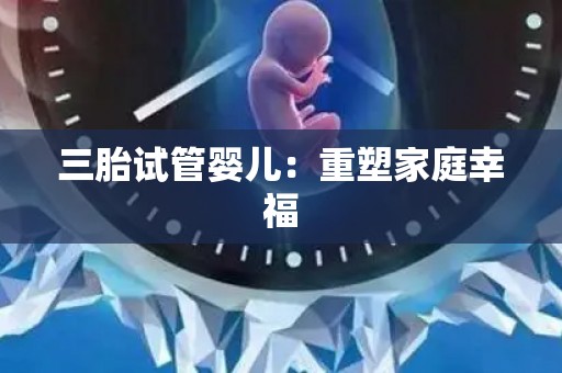 三胎试管婴儿:重塑家庭幸福 三胎试管婴儿:重塑家庭幸福
