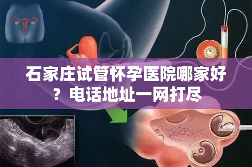 石家庄试管怀孕医院哪家好?电话地址一网打尽 石家庄试管怀孕医院哪家好?电话地址一网打尽