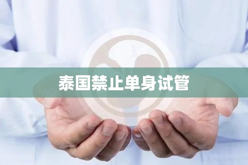 泰国禁止单身试管