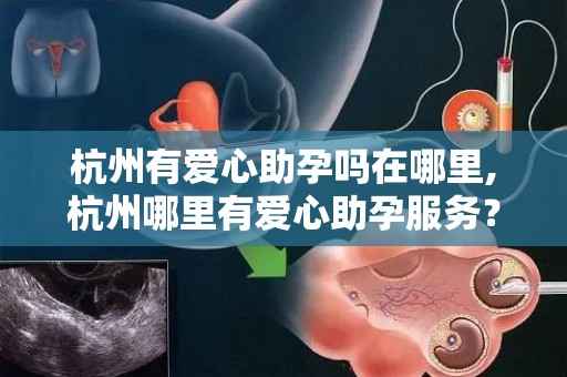 杭州有爱心助孕吗在哪里,杭州哪里有爱心助孕服务？