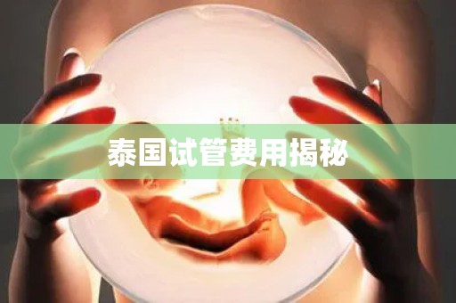 泰国试管费用揭秘