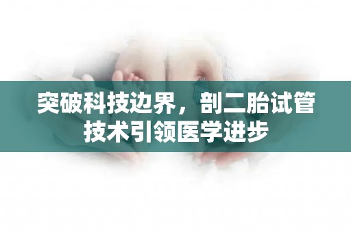 突破科技边界，剖二胎试管技术引领医学进步