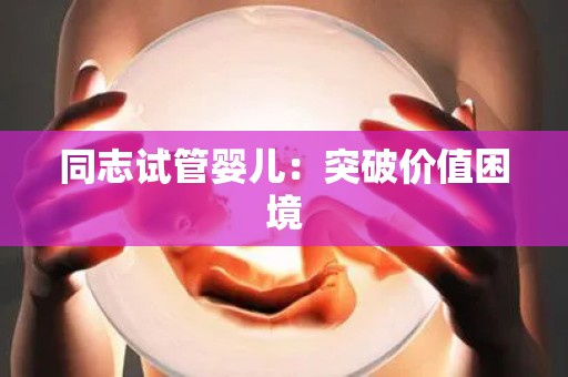 同志试管婴儿：突破价值困境