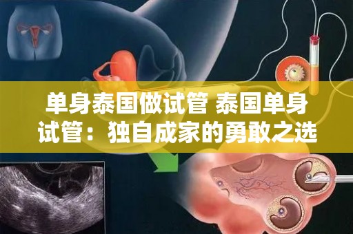 单身泰国做试管 泰国单身试管:独自成家的勇敢之选 单身泰国做试管 泰国单身试管:独自成家的勇敢之选