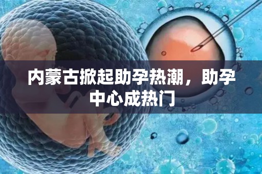 内蒙古掀起助孕热潮,助孕中心成热门 内蒙古掀起助孕热潮,助孕中心成热门