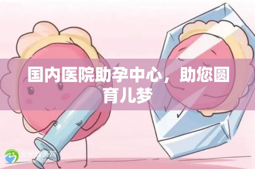 国内医院助孕中心，助您圆育儿梦