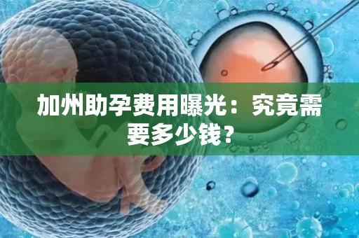 加州助孕费用曝光：究竟需要多少钱？